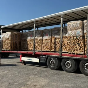 Birkenholz – LKW-Ladung (48 RM) – 50 cm Stämme – Professionelle Verpackung