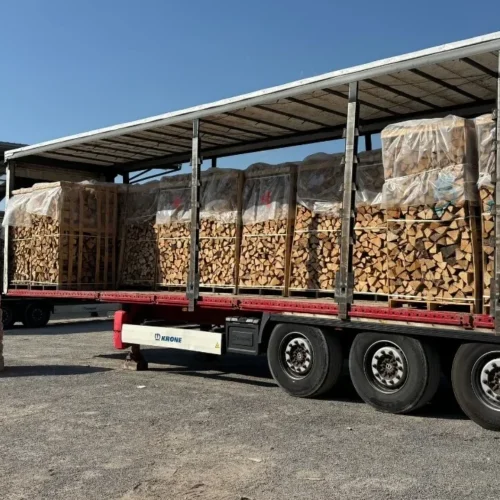 Birkenholz – LKW-Ladung (48 RM) – 50 cm Stämme – Professionelle Verpackung